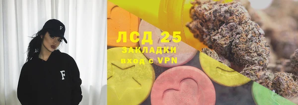 тгк Ельня