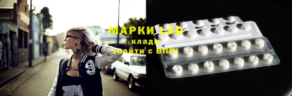 тгк Покров