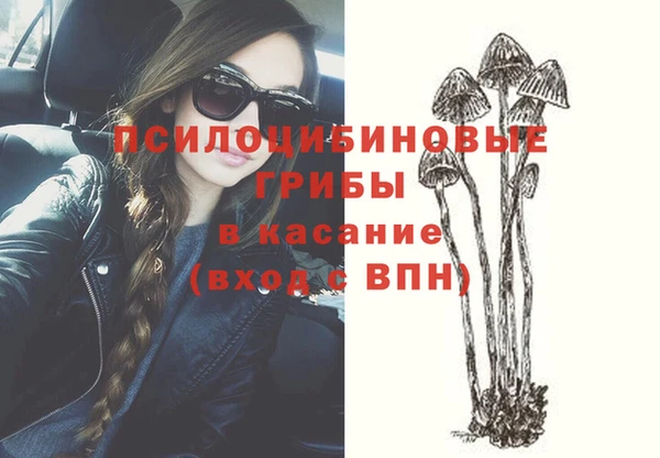 не бодяженный Медногорск