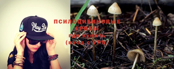 таблы Покачи