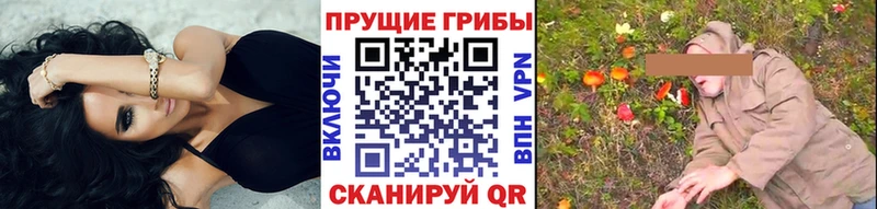 нарко площадка формула Сенгилей Галлюциногенные грибы Psilocybe hydra онион